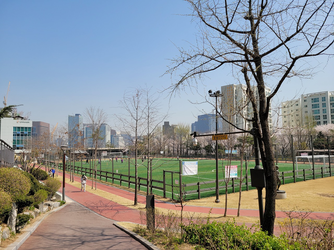 山东泰山队